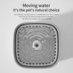 PurrFountain™